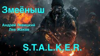 S.T.A.L.K.E.R. ЗМЕЁНЫШ  АУДИОКНИГИ 2020  АНДРЕЙ ЛЕВИЦКИЙ  Лев Жаков Апокалипсис 