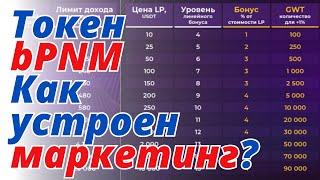 Токен bPNM. Как устроен маркетинг На какие вещи стоит обратить внимание Система вознаграждений