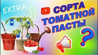 СОРТА томатной ПАСТЫ. Наша паста — ЭКСТРА!