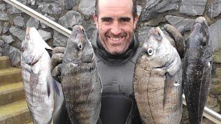 underwater fishing in  the basque country "a la espera del invierno"