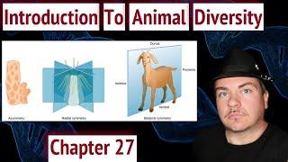 Introduction to Animal Diversity