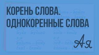 Корень слова. Однокоренные слова. Написание корня в однокоренных словах.