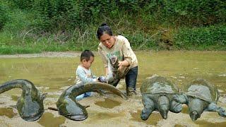 Single mother and baby go catch fish in abandoned pond - catch giant fish and turtles