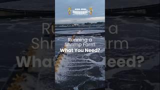 𝗔𝗟𝗟-𝗜𝗡-𝗢𝗡𝗘 𝗦𝗛𝗥𝗜𝗠𝗣 𝗙𝗔𝗥𝗠𝗜𝗡𝗚 𝗦𝗢𝗟𝗨𝗧𝗜𝗢𝗡𝗦 – 𝗢𝗡𝗟𝗬 𝗔𝗧 𝗔𝗤𝗨𝗔 𝗠𝗜𝗡𝗔!