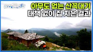 해발 700m 아무도 없는 산꼭대기에 무작정 집 짓고 살기 시작한 가족｜대책 없이 시작한 오지살이, 가족까지 불러서 마을을 만드는 중｜한국기행｜#골라듄다큐