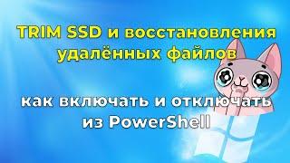 О восстановлении удалённых файлов с SSD накопителей с функцией TRIM