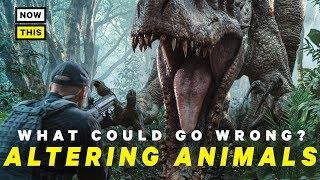 What Could Go Wrong With Altering Animals? | NowThis Nerd