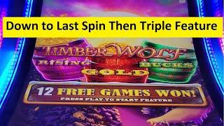 TimberWolf Triple Power Slot Super Big Win! Aristocrat