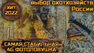 СУПЕР ФОТОЛОВУШКА KeepGuard 895 выбор охотхозяйств РФ. #фотоловушка #леснаякамера #видеонаблюдение