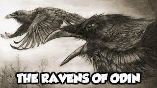 Odin's Mythical Ravens - Huginn and Muninn (Norse Mythology Explained)