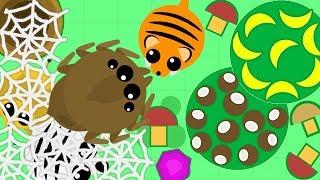 MOPE.IO ПРОКАЗНИК ТИГР НЕРВИРУЕТ НОСОРОГОВ И ПРИНОСИТ ЖЕРТВУ ПАУКУ В ИГРЕ MOPE IO