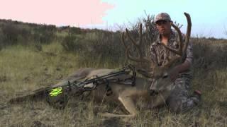 184" Pope and Young Idaho Mule Deer - Switchback Outdoors