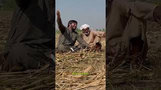 Punjabi Arifana Kalam By Bilal Haider,Kalam Baba Qasoor Mand Punjabi Kalam
