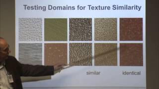 2015 CASIS Workshop: 'Visual Texture Analysis: From Similarity to Material Properties'