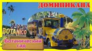 ДоминиканаБотанический садПальмовый райСанто ДомингоBotanical GardenDominicanSanto Domingo