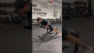 DUMBBELL INCLINE SEAL ROWS