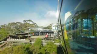 Scenic World Interactive Adventure - Scenic Skyway