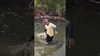 WOW..!! JALA IKAN DISUNGAI KECIL HASILNYA LUAR BIASA #SHORTS #JALAIKAN #IKAN