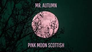 Mr  Autumn   Pink Moon Scottish (Music only)