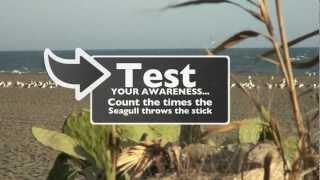 Visual Awareness Test - Are You Ready? - Take a Test