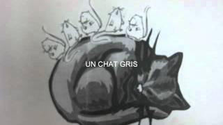 un chat gris