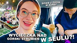 DZIEŃ Z KOREAŃSKĄ TEŚCIOWĄ! Tak Koreańczycy spędzali (i spędzają!) upalne lato...