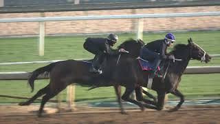 California Thoroughbred Racing Club News 3-24-24