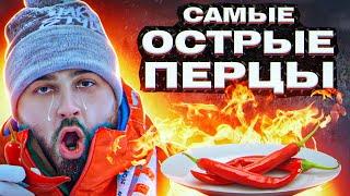 HARD PLAY ПРОБУЕТ ТОП 5 САМЫХ ОСТРЫХ ПЕРЦЕВ! ПОЛНАЯ ЖЕСТЬ!