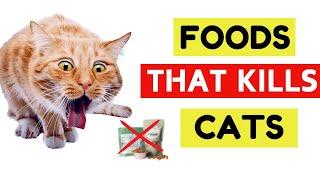 WARNING: 15 Dangerous Foods Your Cat Should Never Eat!