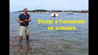 Pêche à l'arénicole en estuaire