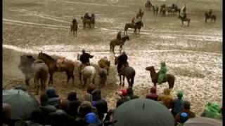 БУЗКАШИ-ро тамошо кунед РОХАТ кунед.(ШУГНОВ-Ховалинг)