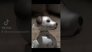 Aibo Sony ERS 1000