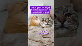 И что теперь делать?