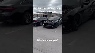 Two types of Mustang people  #mustang #mustangmache #horsepower #reels #ford #fordperformance