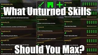 What unturned skills Should you max/use?