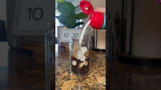 small nomad bottle from nespresso #asmr #asmrcommunity #asmrcoffee #coffeeasmr