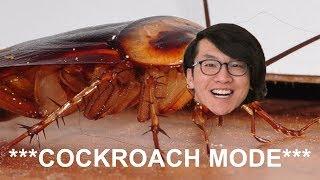 Lachlanlikesathing Will Continue In Cockroach Mode