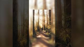 how to make your photos have a DREAMY HAZE! #dreamy #nostalgia #lightroompresets #shorts