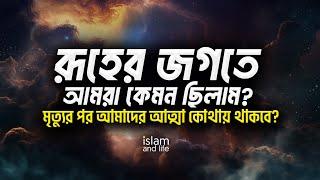 রূহের জগতে আমরা কেমন ছিলাম? || মৃত্যুর পর আমাদের আত্মা কোথায় থাকবে? || Islam and Life 2023