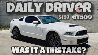 Check-in: 2 months of daily driving an S197 GT500 #shelby #mustang