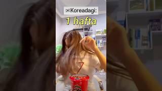 Och qoganda nima yevosila?🫣#hibyekorea#koreahaqidahammasi#koreadaoqish#
