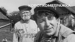 Надпись на срубе (1968 год) короткометражка