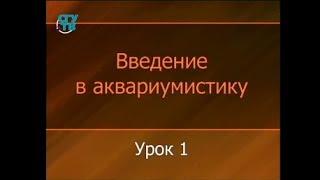 Аквариумистика. Урок 1. История аквариумистики с древнейших времён и до наших дней