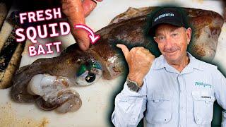 GUIDE to Fishing with Fresh SQUID off the Beach!