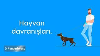 Hayvanlar Rüya Görür Mü?