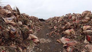 What happens after all the yard waste is collected?