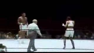 Muhammad Ali vs Laila Ali