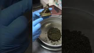 Фасовка Черной Икры