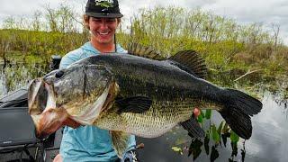 HUGE Bass Caught Deep In The Swamp