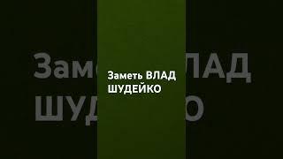 #владшудейко #заметь